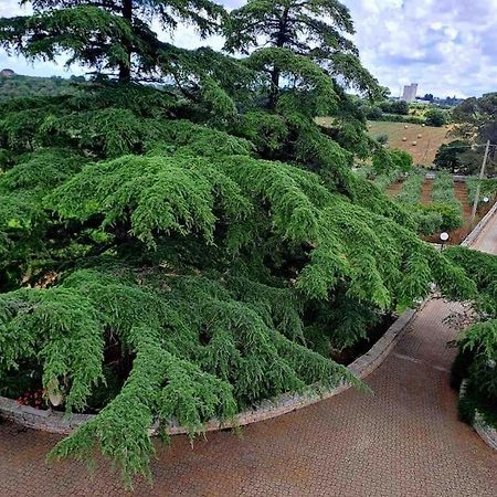 Ferienwohnung Casina Foggia Dell'Albero Putignano Exterior foto