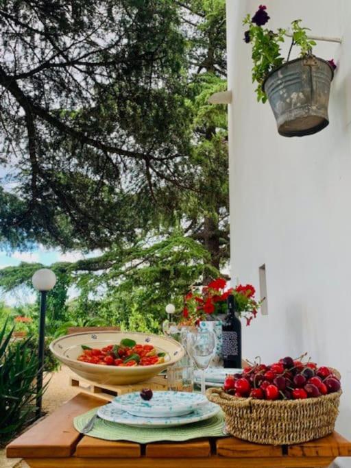 Ferienwohnung Casina Foggia Dell'Albero Putignano Exterior foto